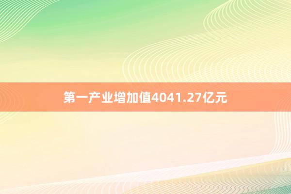 第一产业增加值4041.27亿元