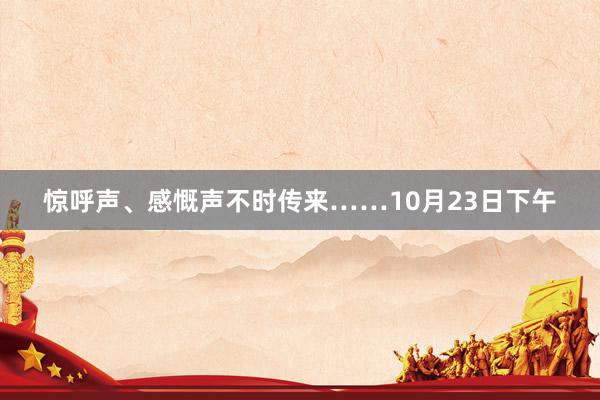 惊呼声、感慨声不时传来……10月23日下午