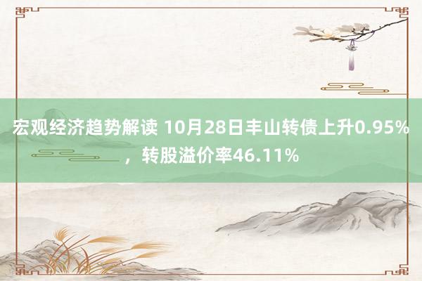 宏观经济趋势解读 10月28日丰山转债上升0.95%，转股溢价率46.11%