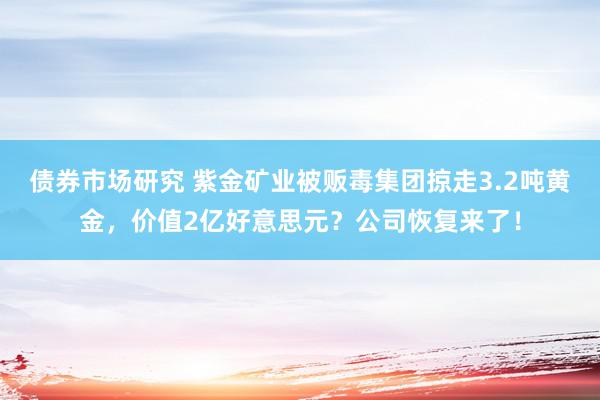 债券市场研究 紫金矿业被贩毒集团掠走3.2吨黄金，价值2亿好意思元？公司恢复来了！