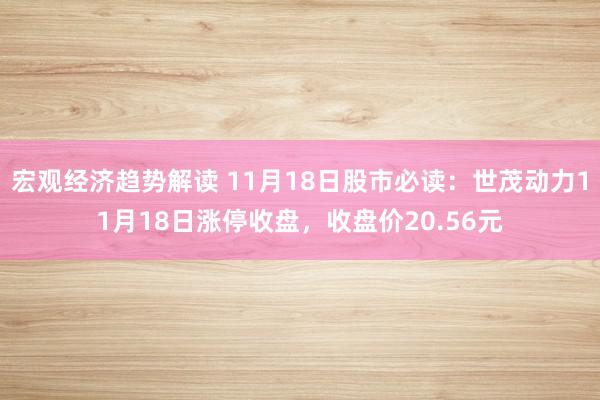 宏观经济趋势解读 11月18日股市必读：世茂动力11月18日涨停收盘，收盘价20.56元