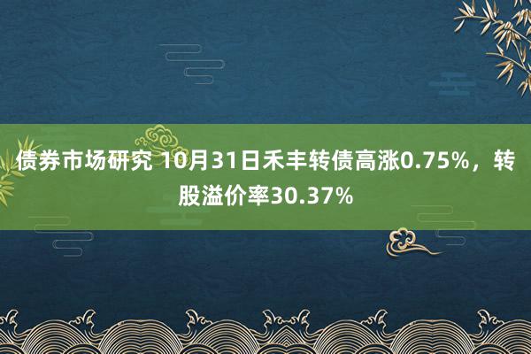 债券市场研究 10月31日禾丰转债高涨0.75%，转股溢价率30.37%