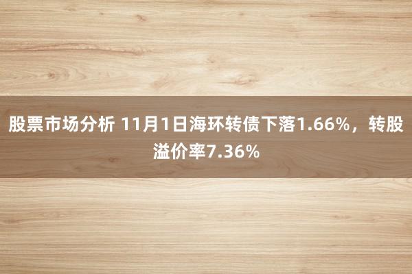 股票市场分析 11月1日海环转债下落1.66%，转股溢价率7.36%