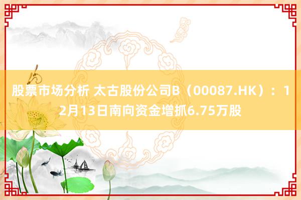 股票市场分析 太古股份公司B（00087.HK）：12月13日南向资金增抓6.75万股