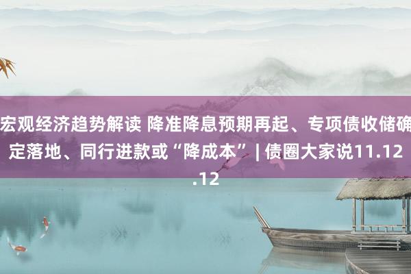 宏观经济趋势解读 降准降息预期再起、专项债收储确定落地、同行进款或“降成本” | 债圈大家说11.12