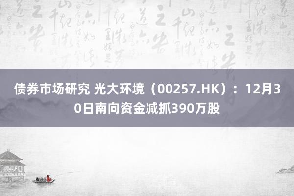 债券市场研究 光大环境（00257.HK）：12月30日南向资金减抓390万股