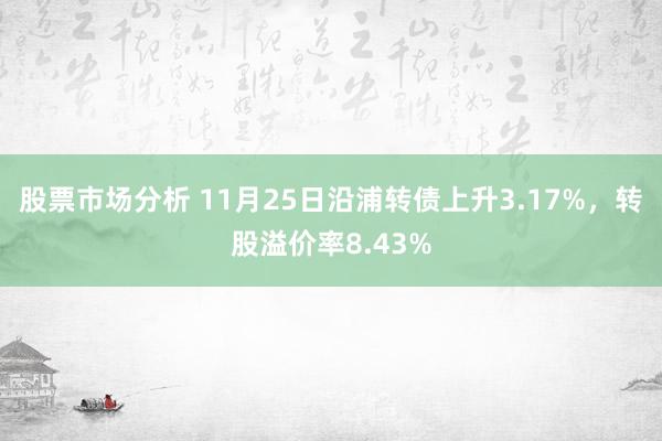 股票市场分析 11月25日沿浦转债上升3.17%，转股溢价率8.43%