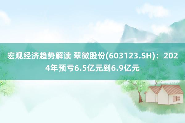 宏观经济趋势解读 翠微股份(603123.SH)：2024年预亏6.5亿元到6.9亿元