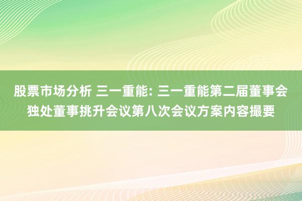 股票市场分析 三一重能: 三一重能第二届董事会独处董事挑升会议第八次会议方案内容撮要