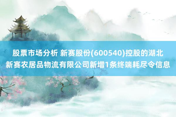 股票市场分析 新赛股份(600540)控股的湖北新赛农居品物流有限公司新增1条终端耗尽令信息