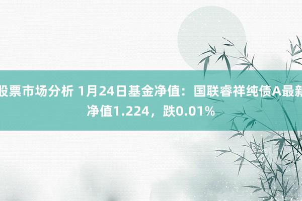 股票市场分析 1月24日基金净值：国联睿祥纯债A最新净值1.224，跌0.01%