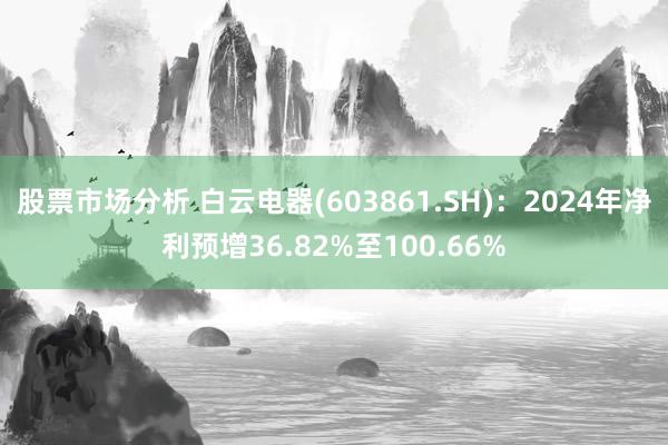 股票市场分析 白云电器(603861.SH)：2024年净利预增36.82%至100.66%