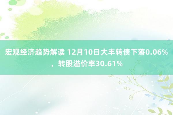 宏观经济趋势解读 12月10日大丰转债下落0.06%，转股溢价率30.61%