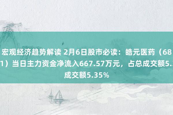 宏观经济趋势解读 2月6日股市必读：皓元医药（688131）当日主力资金净流入667.57万元，占总成交额5.35%