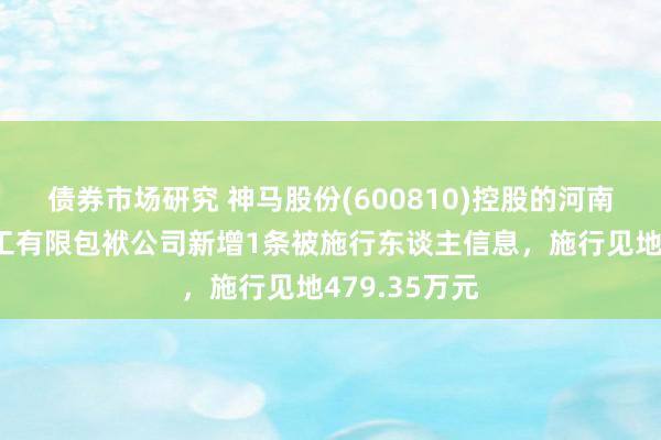 债券市场研究 神马股份(600810)控股的河南神马尼龙化工有限包袱公司新增1条被施行东谈主信息，施行见地479.35万元