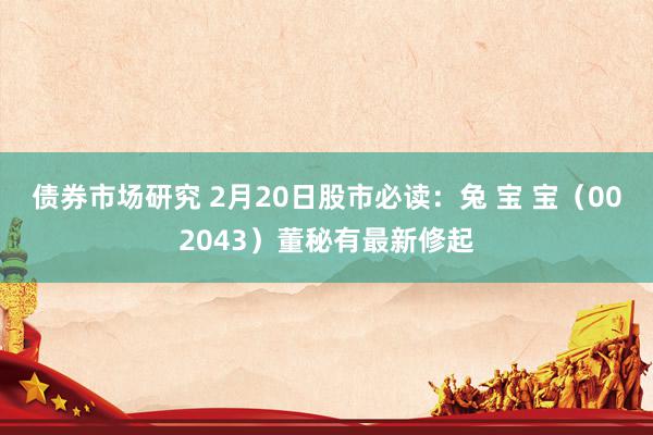 债券市场研究 2月20日股市必读：兔 宝 宝（002043）董秘有最新修起