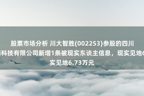 股票市场分析 川大智胜(002253)参股的四川智胜云猫科技有限公司新增1条被现实东谈主信息，现实见地6.73万元