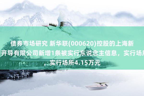 债券市场研究 新华联(000620)控股的上海新华联房地产开导有限公司新增1条被实行东说念主信息，实行场所4.15万元