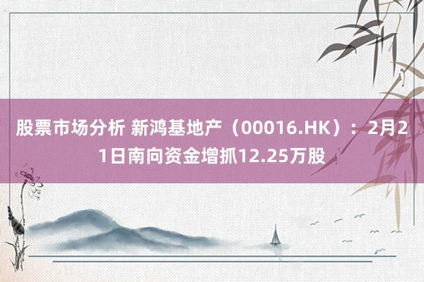 股票市场分析 新鸿基地产（00016.HK）：2月21日南向资金增抓12.25万股