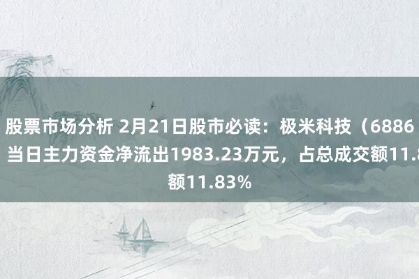 股票市场分析 2月21日股市必读：极米科技（688696）当日主力资金净流出1983.23万元，占总成交额11.83%