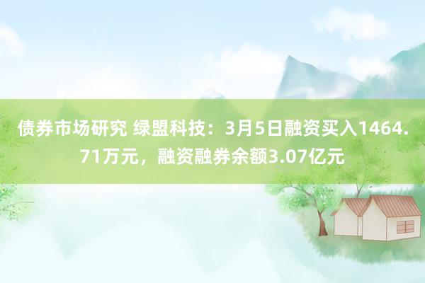 债券市场研究 绿盟科技：3月5日融资买入1464.71万元，融资融券余额3.07亿元