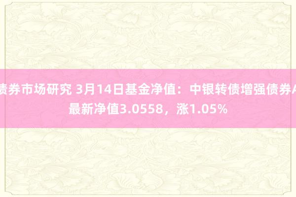 债券市场研究 3月14日基金净值：中银转债增强债券A最新净值3.0558，涨1.05%