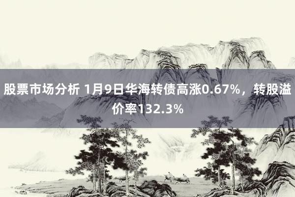 股票市场分析 1月9日华海转债高涨0.67%，转股溢价率132.3%