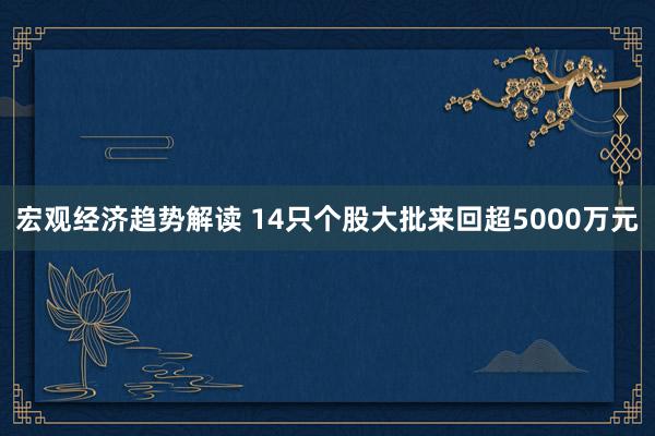 宏观经济趋势解读 14只个股大批来回超5000万元